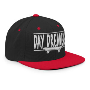 Two-Tone Snapback